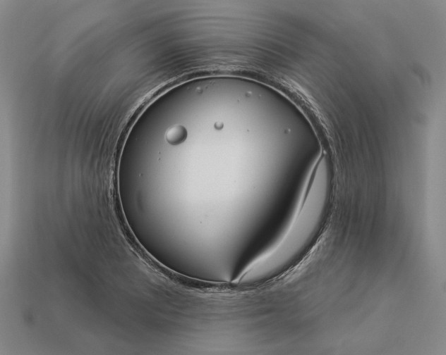 X0000112961081200909101628