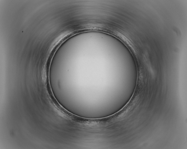 X0000112961082200909101628