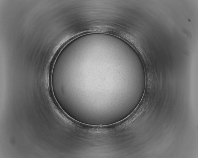 X0000112961083200909101628