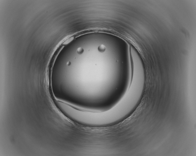 X0000112961084200909101628