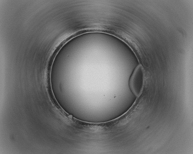 X0000112961085200909101628