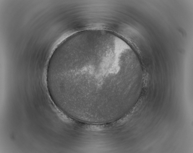 X0000112961086200909101627