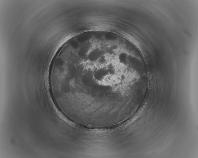 X0000112961087200909101627