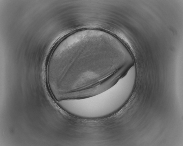 X0000112961088200909101627