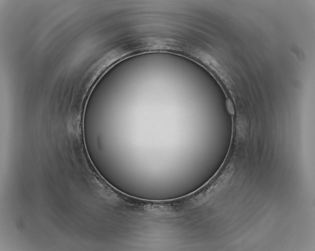 X0000112961089200909101627