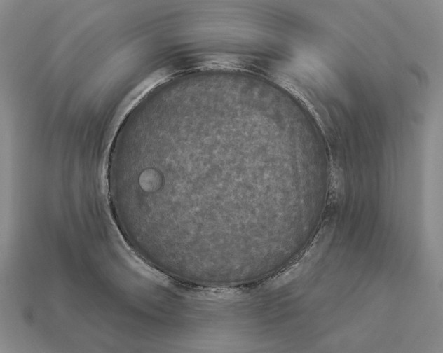 X0000112961090200909101627