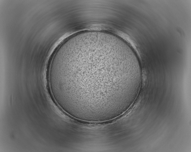 X0000112961091200909101627