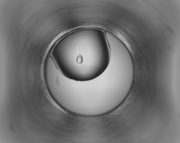 X0000112961092200909101627