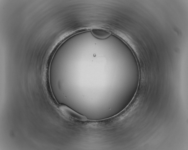 X0000112961093200909101627