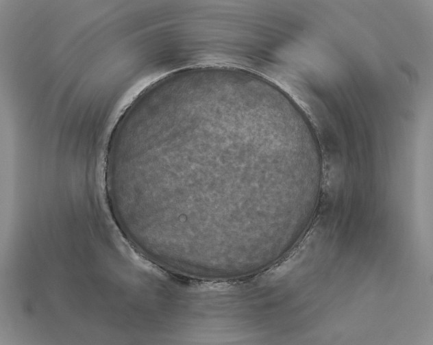 X0000112961094200909101627