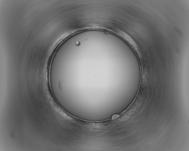 X0000112961096200909101627