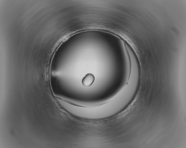 X0000112961097200909101627