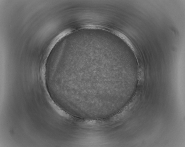 X0000112961098200909101627