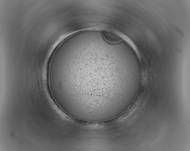 X0000112961099200909101627