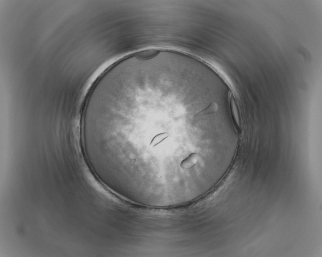 X0000112961100200909101627