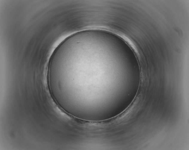 X0000112961102200909101627