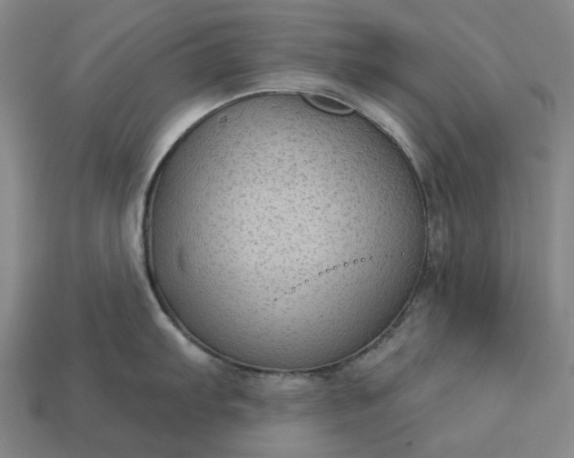 X0000112961103200909101627