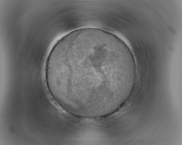 X0000112961104200909101627