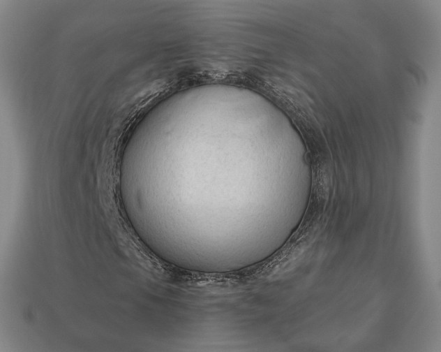 X0000112961105200909101627