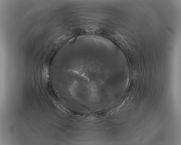 X0000112961106200909101627