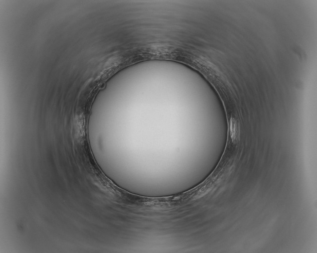 X0000112961107200909101627