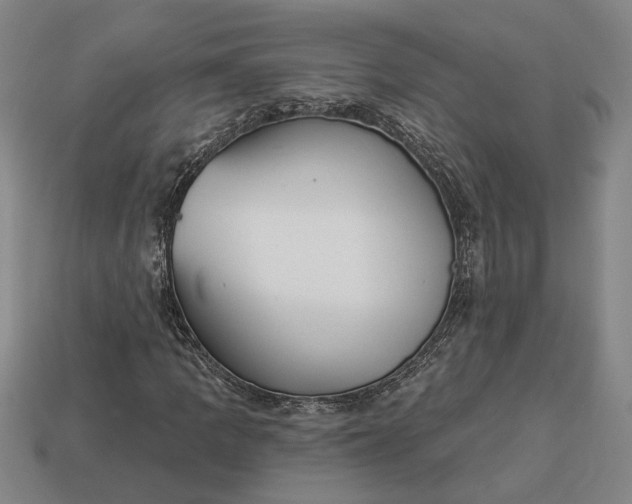 X0000112961109200909101627