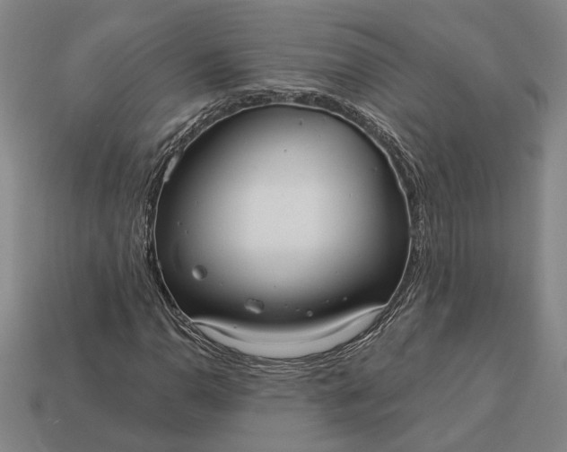 X0000112961110200909101627