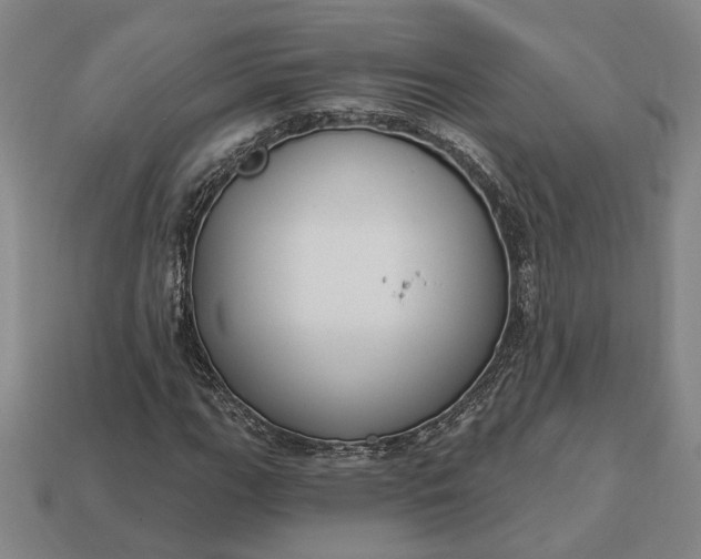 X0000112961111200909101627