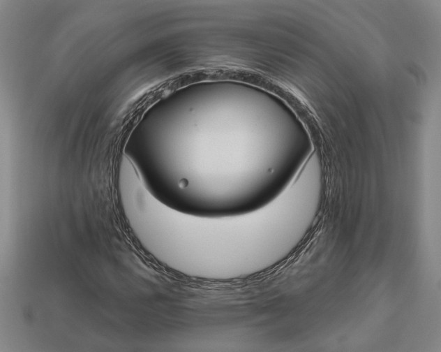 X0000112961112200909101627