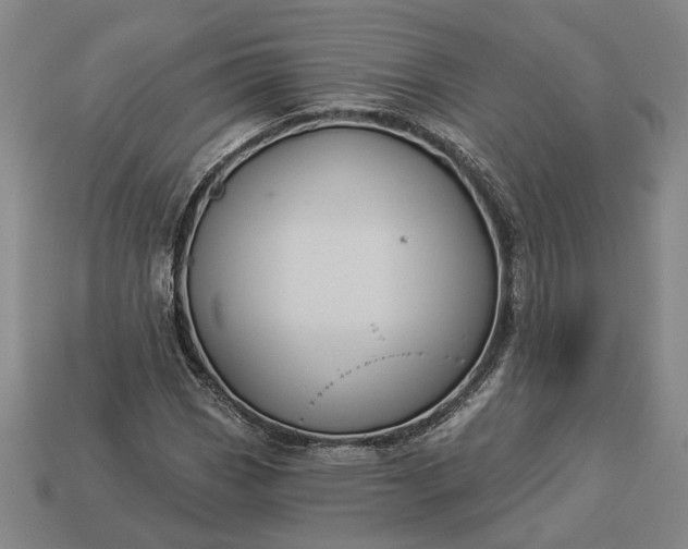 X0000112961113200909101627