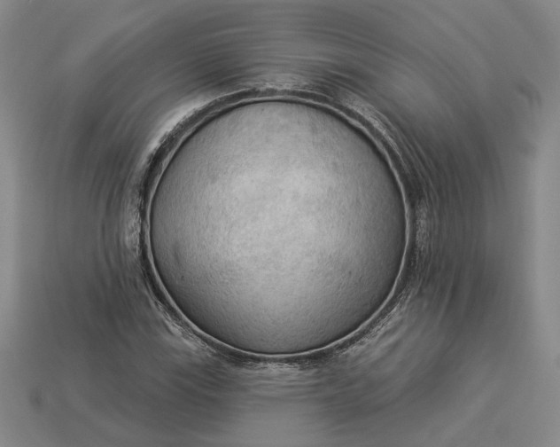 X0000112961115200909101627