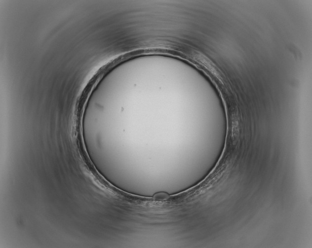 X0000112961116200909101627