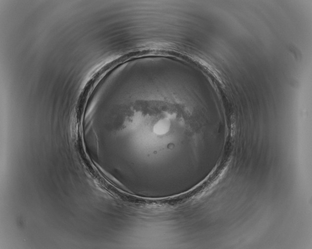 X0000112961117200909101627