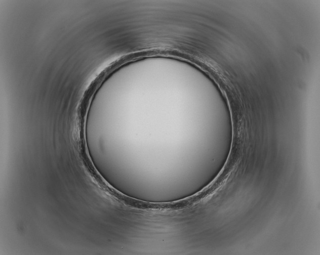 X0000112961118200909101627