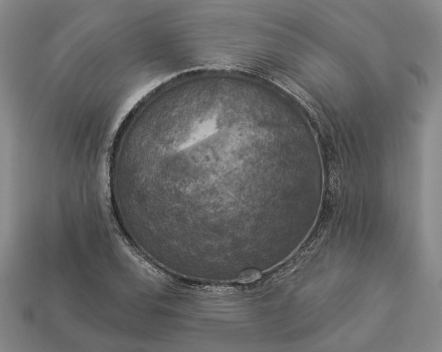 X0000112961120200909101627