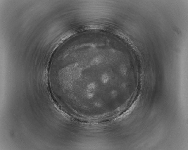 X0000112961121200909101627