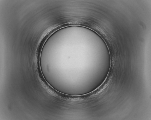 X0000112961122200909101627