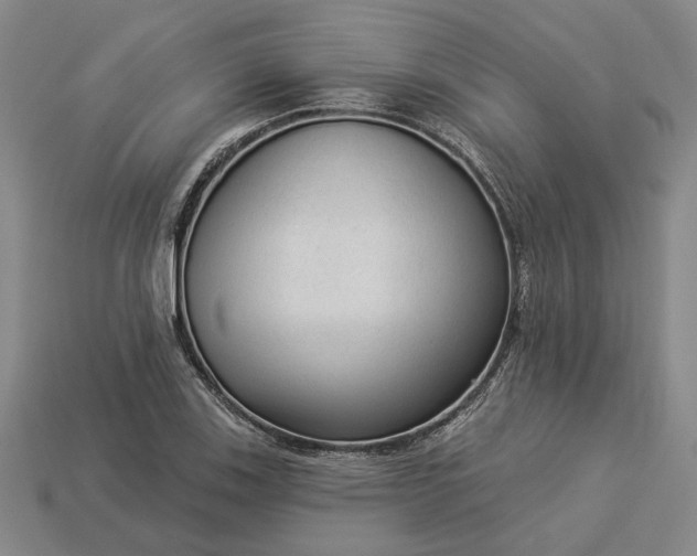 X0000112961123200909101627