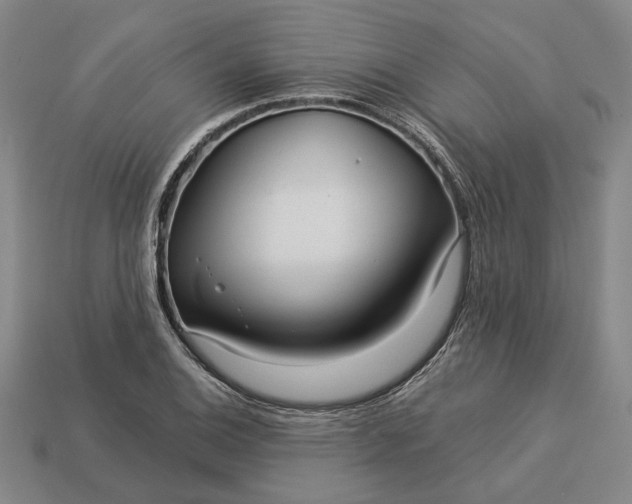 X0000112961124200909101627