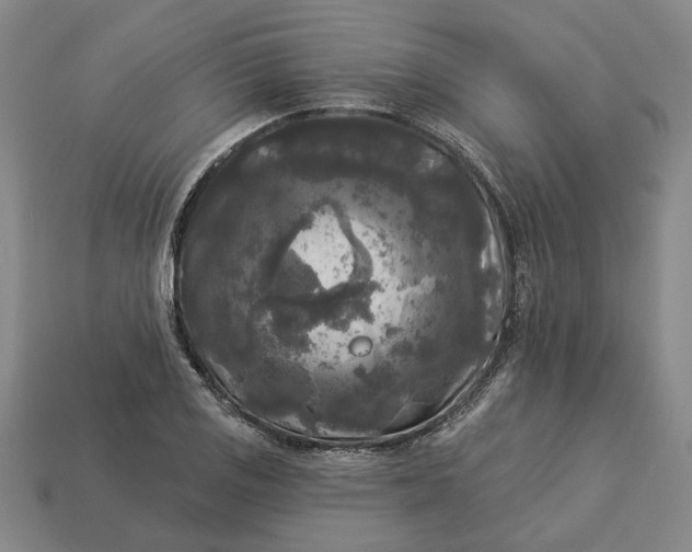 X0000112961125200909101627