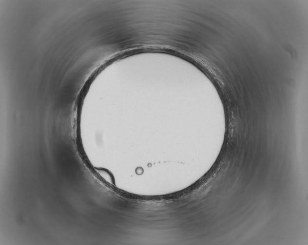 X0000112961126200909101627