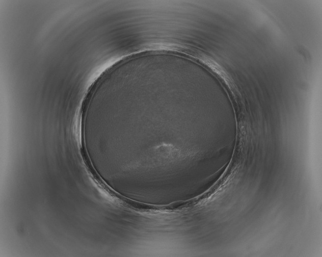 X0000112961127200909101627