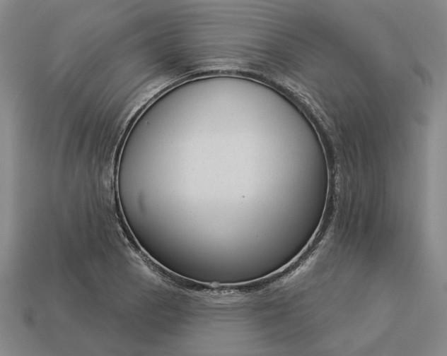 X0000112961129200909101627