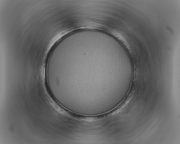 X0000112961130200909101627