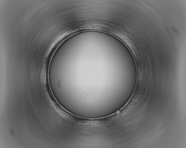 X0000112961131200909101627