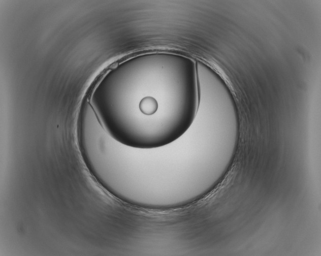 X0000112961132200909101627