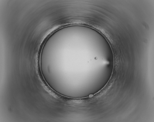 X0000112961134200909101627