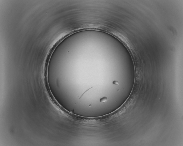 X0000112961135200909101627