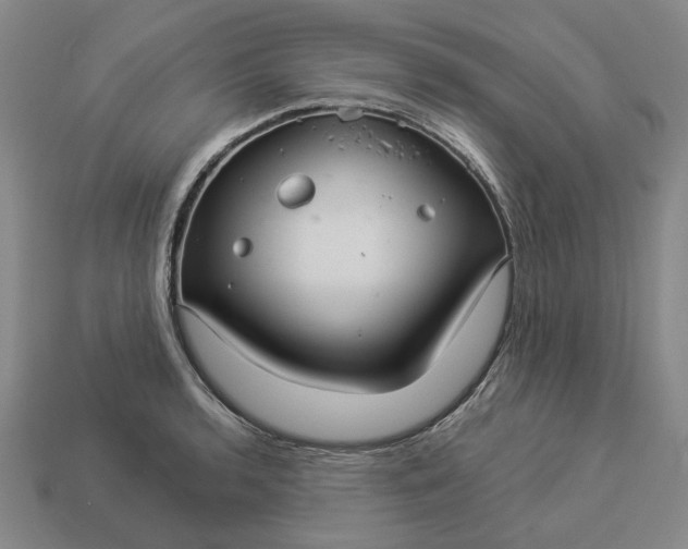 X0000112961136200909101627