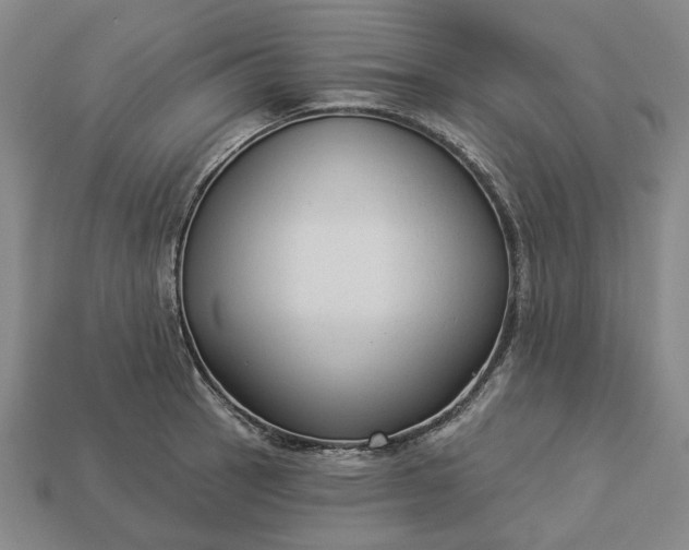 X0000112961137200909101627